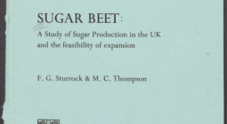 a study of sugar production in the UK