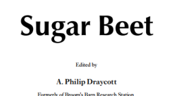 Sugar-Beet