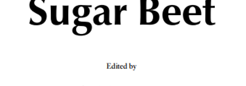 Sugar-Beet