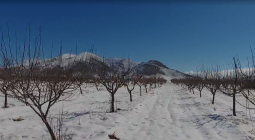 طبیعت شهرستان اقلید (گزارش صدا و سیمای استان فارس از طبیعت زیبای شهرستان اقلید در تاریخ 23 اردیبهشت ماه)