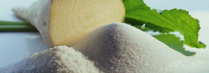 دلایل عقب گرد در خودکفایی شکر